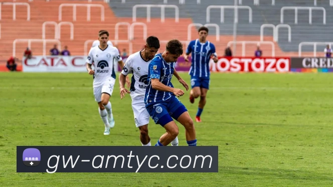 App Interface Preview