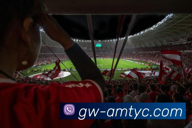 太阳城网站APP 封面图